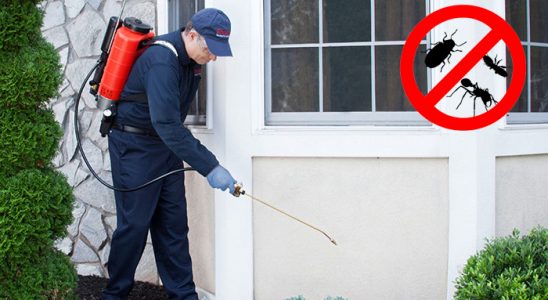 Ulukışla Tahtakurusu İlaçlama böcek ilaçlama ve haşere kontrolü — ilaclama-tr.com